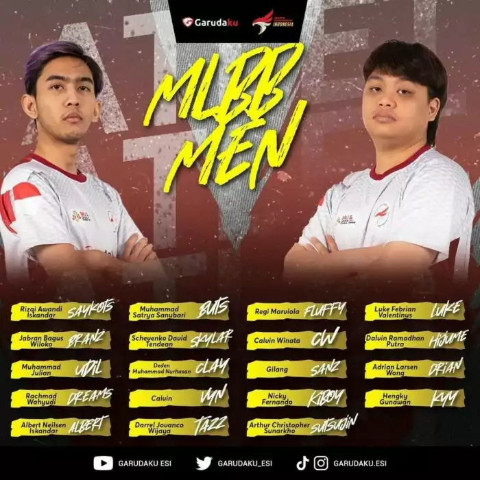 Pemain Seleknas MLBB