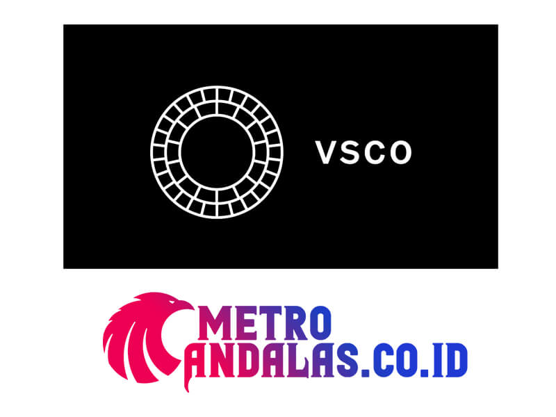 9 Aplikasi Edit Foto Terbaik Android, iOS, dan PC vsco