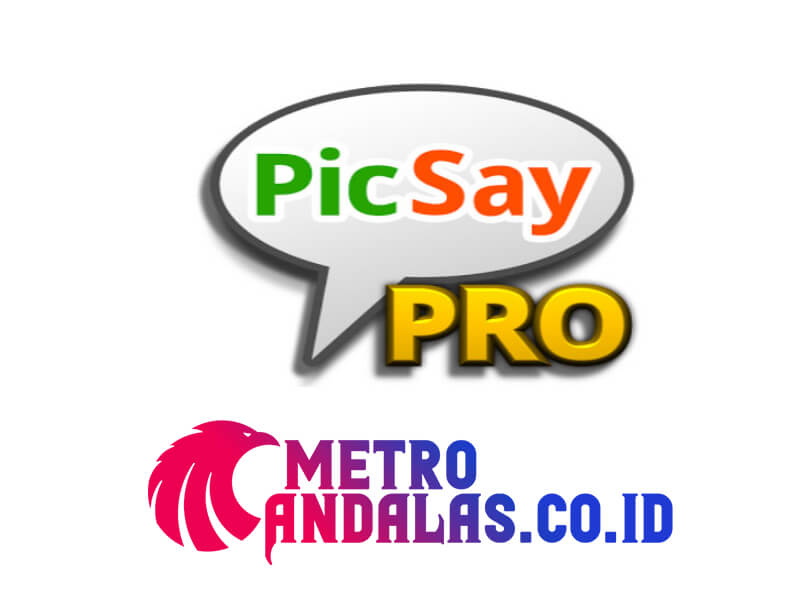 9 Aplikasi Edit Foto Terbaik Android, iOS, dan PC picsay