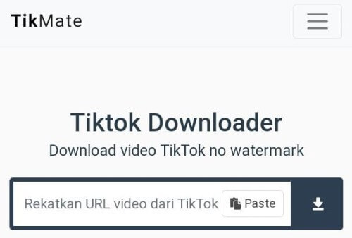 Download MP4 tiktok