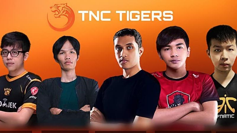 Tigers DOTA 2