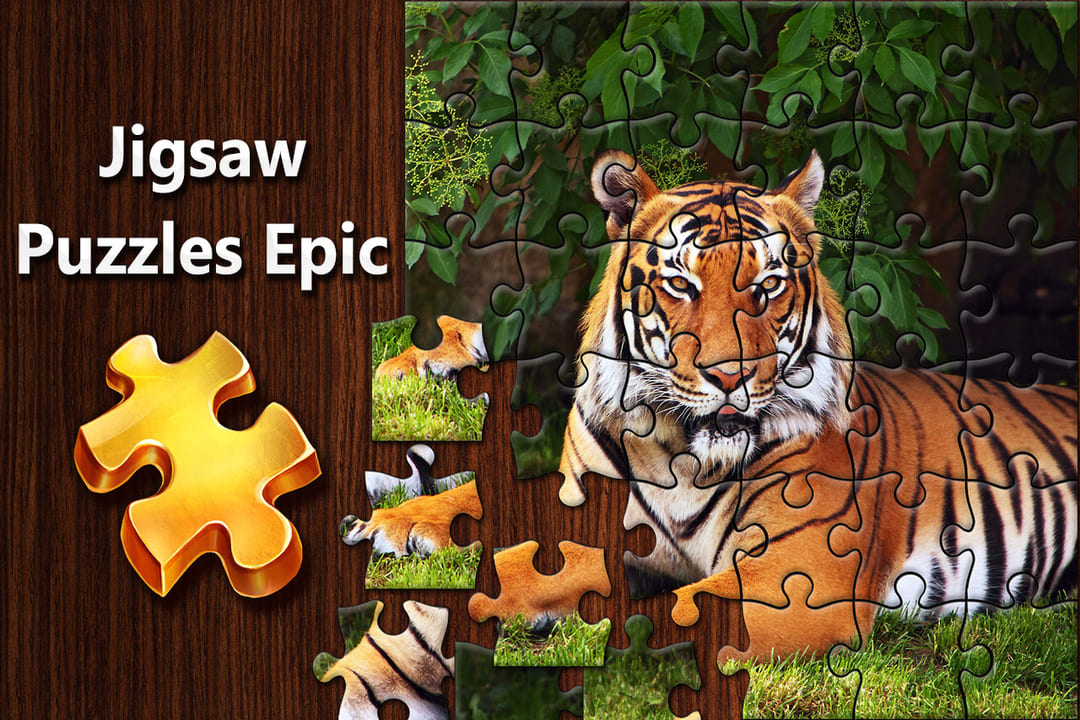 Jigsaw Puzzle